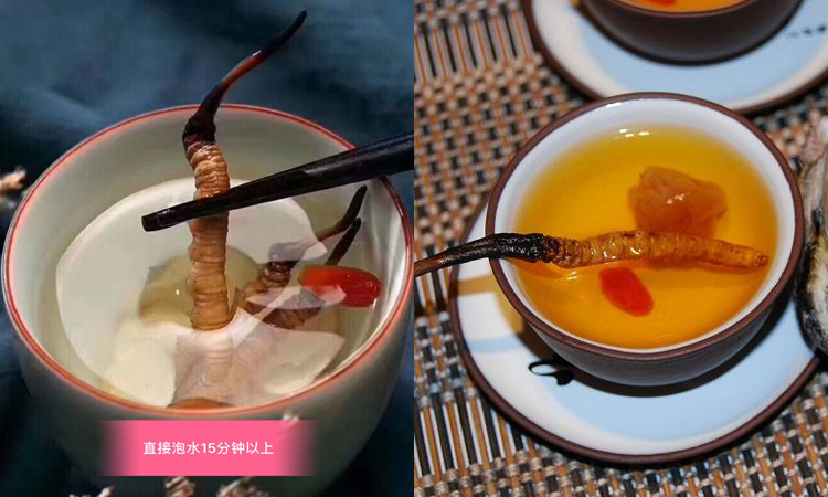 與枸杞同煮泡蟲草茶