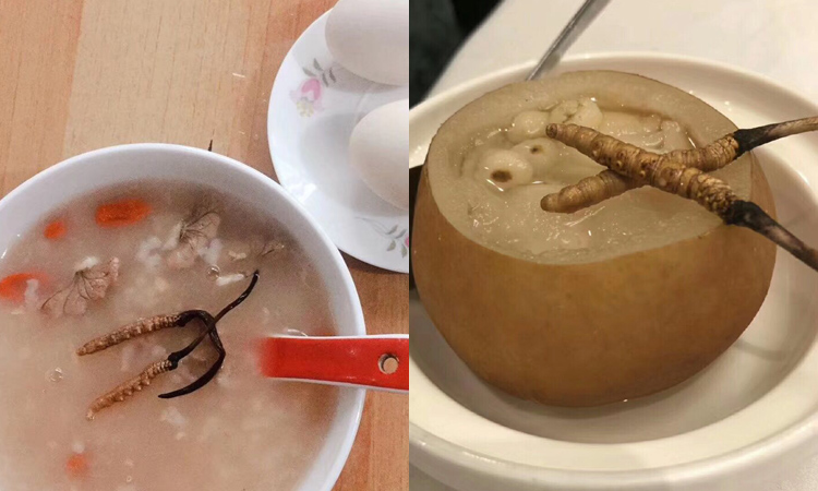 新鮮蟲草煮粥蒸梨