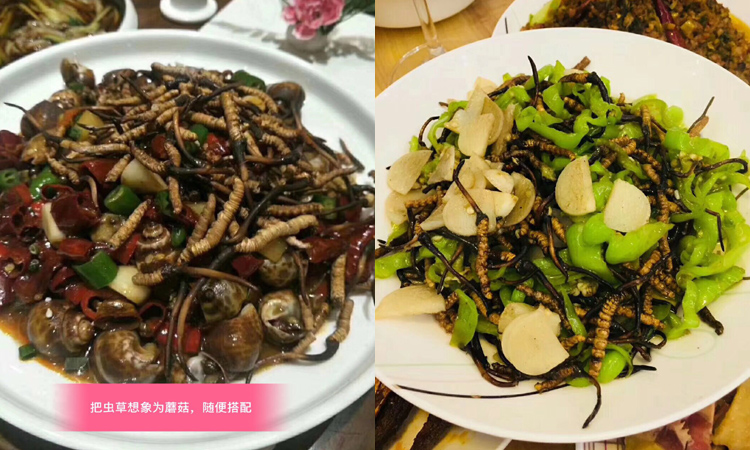 新鮮蟲草炒田螺