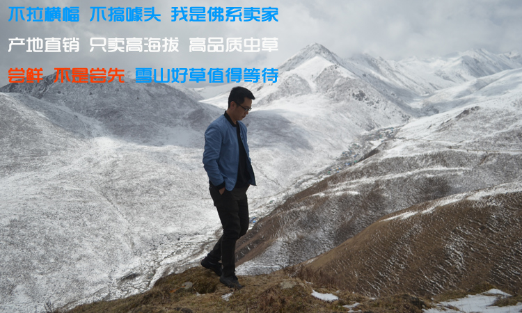 冬蟲夏草佛系賣家