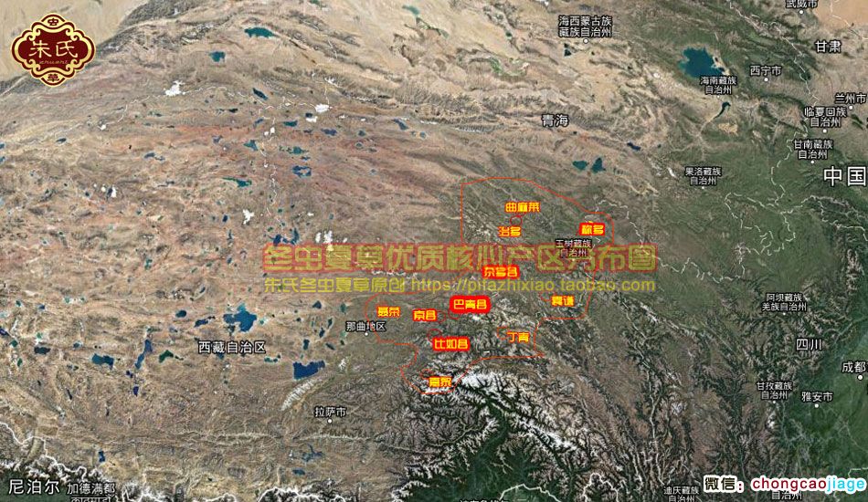 冬蟲夏草最好的產(chǎn)地地圖