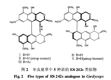 冬蟲夏草中5種新的ES-242s類似物