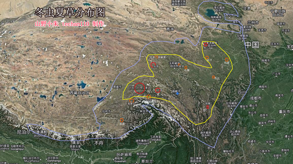 冬蟲夏草分布圖