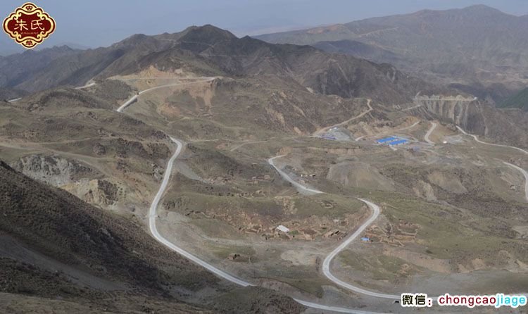 澤庫挖蟲草的山路圖片