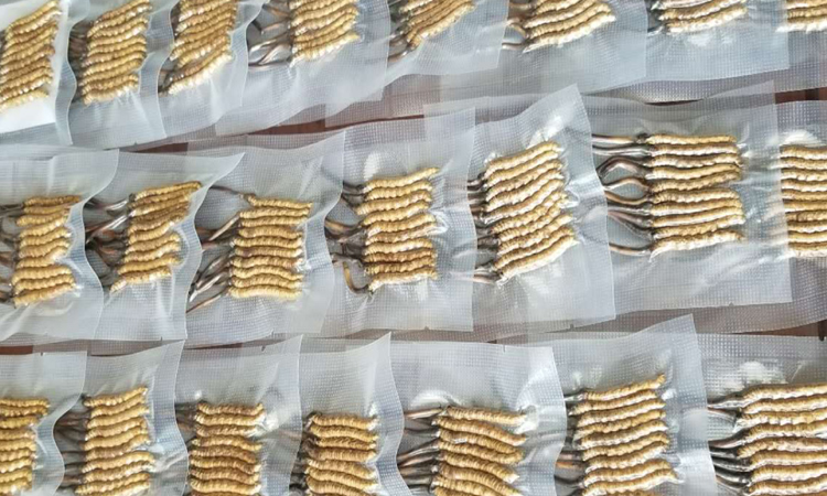 冬蟲夏草真空包裝