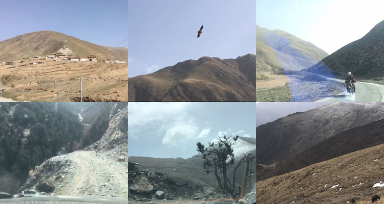 駕車果洛蟲草草山沿途風(fēng)景
