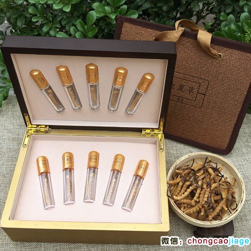 冬蟲夏草試管禮盒10支裝