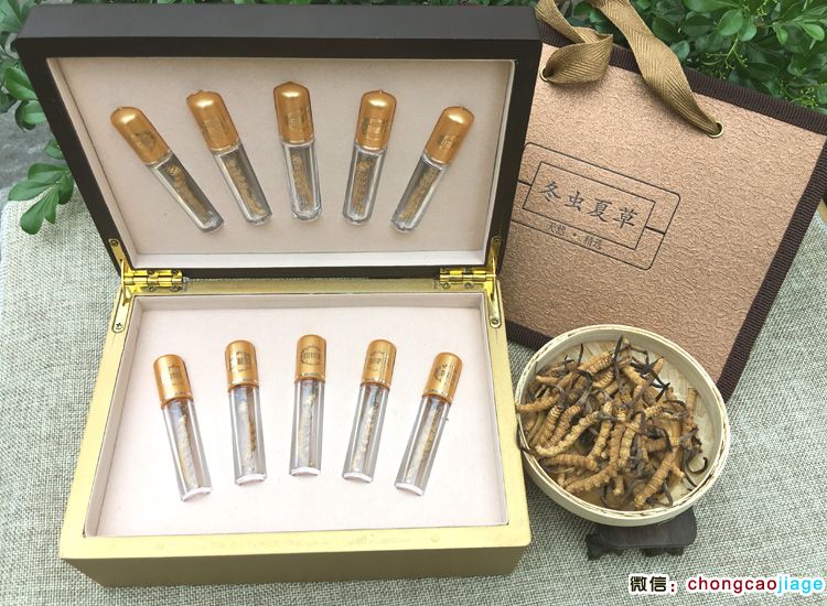 冬蟲夏草禮盒裝10支裝