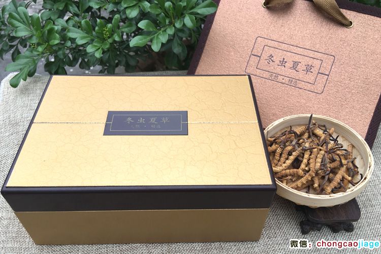 冬蟲夏草禮品盒裝