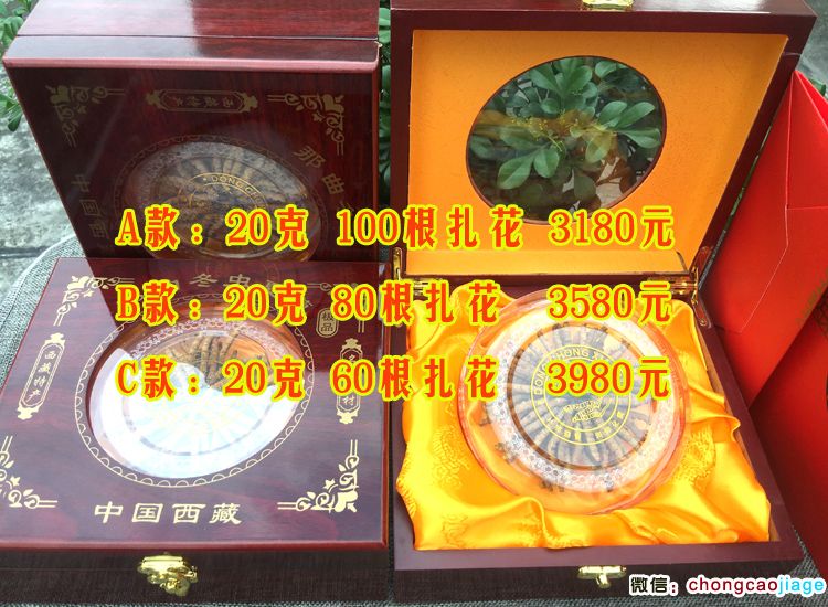 冬蟲夏草20g禮盒裝