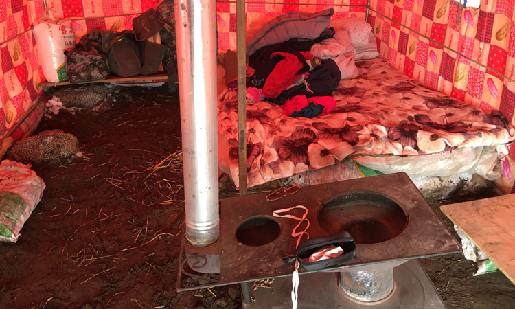 蟲草營地帳篷內(nèi)部場景圖片