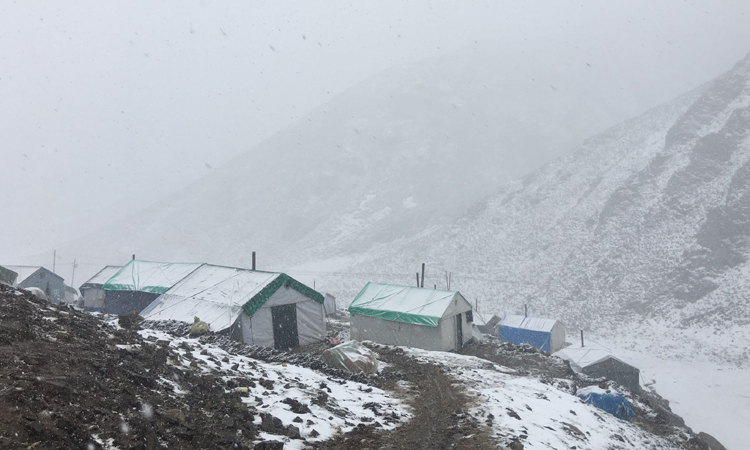 雪天中的挖蟲草的營地