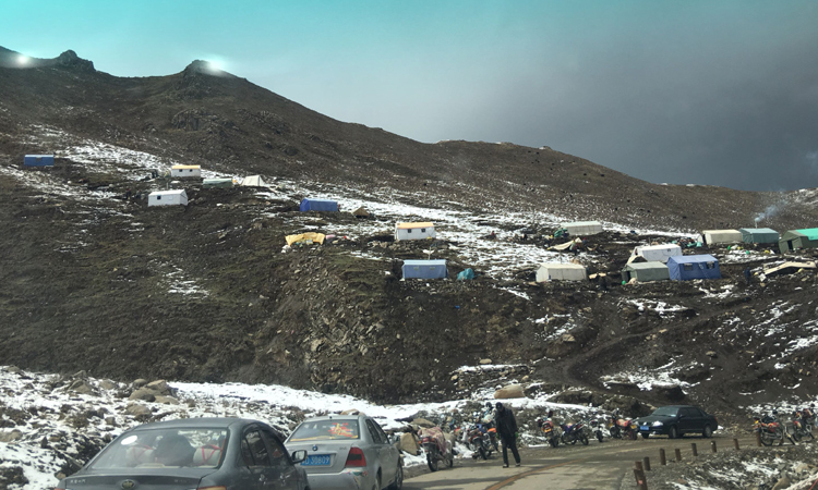 位于公路邊上的挖蟲草營地