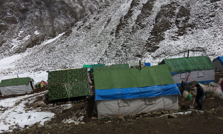 迷彩色蟲草帳篷頂