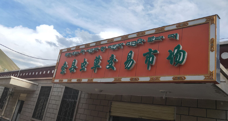 那曲索縣蟲草交易市場