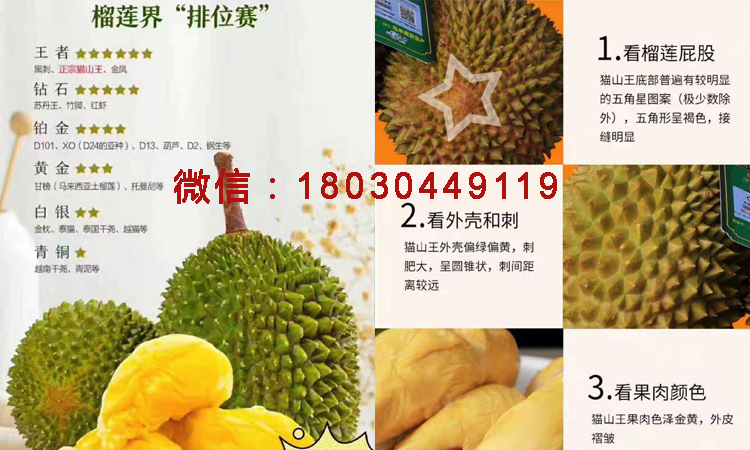 貓山王榴蓮鑒別方法