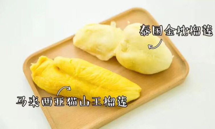 貓山王榴蓮和金枕榴蓮果肉區別圖片