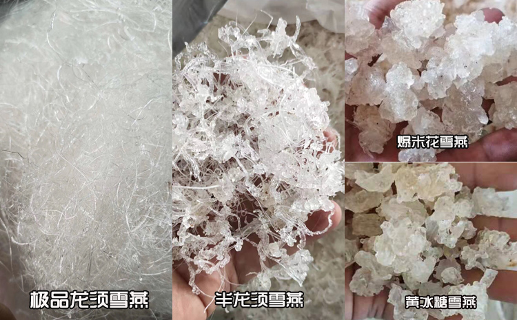 緬甸雪燕分級(jí)圖片