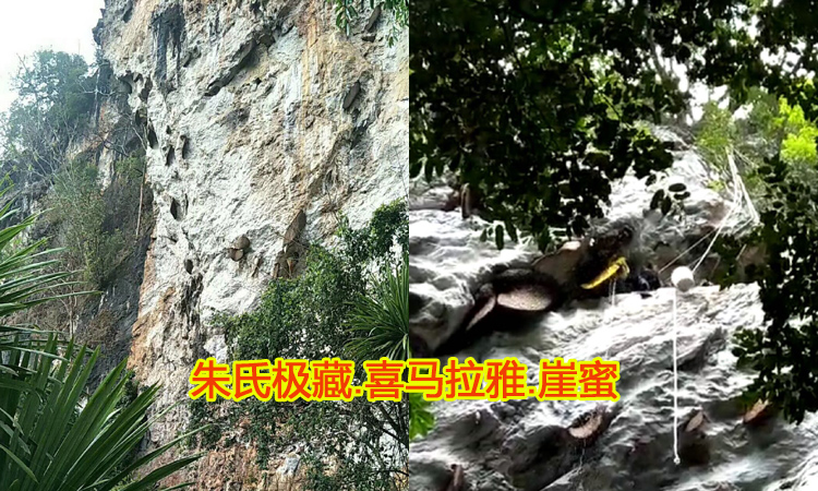 崖蜜圖片