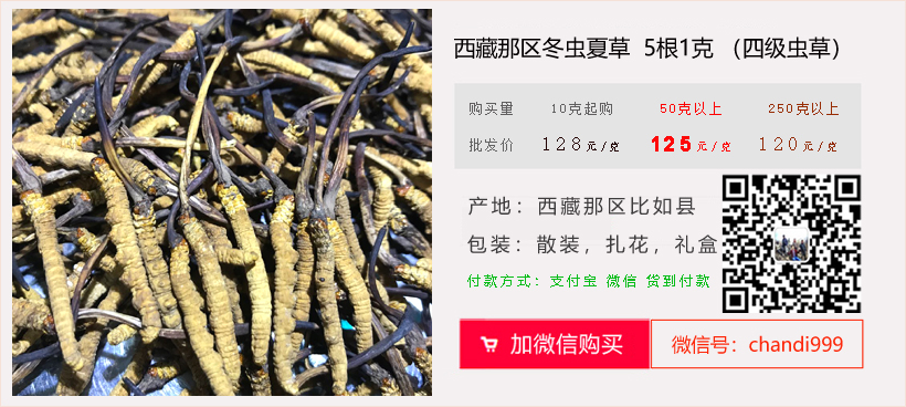 5根1克那區(qū)冬蟲夏草的價格