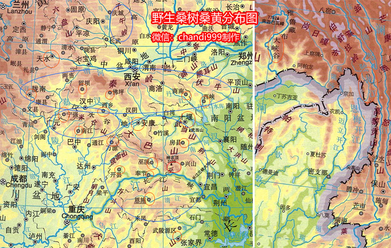 桑樹桑黃產地分布圖