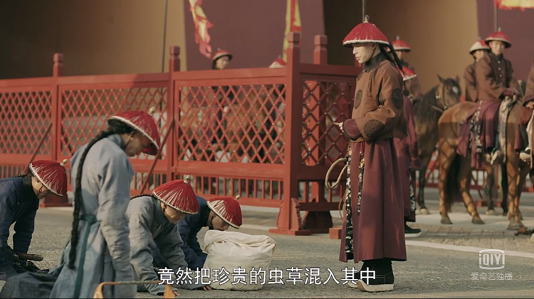 藥材中混入蟲草