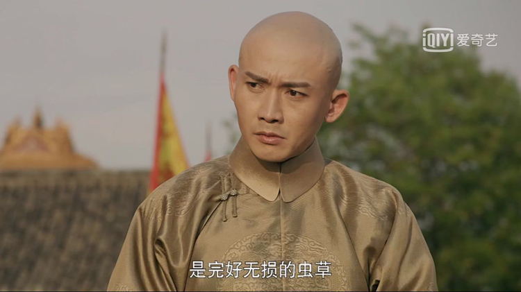 完好無損的蟲草