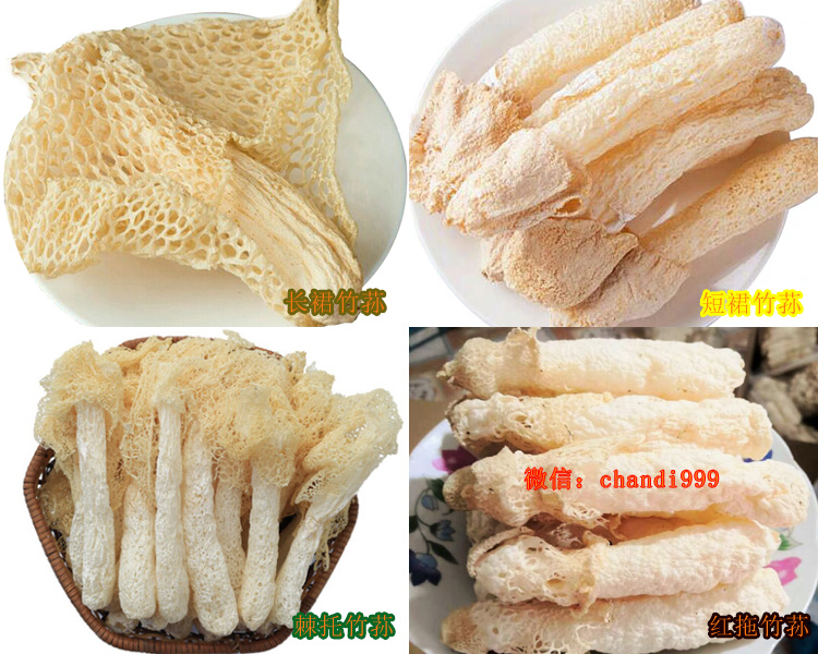 紅拖竹蓀和其它竹蓀的區別