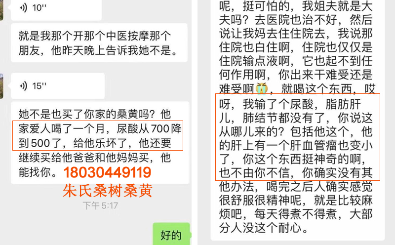 痛風吃桑黃好得快案例