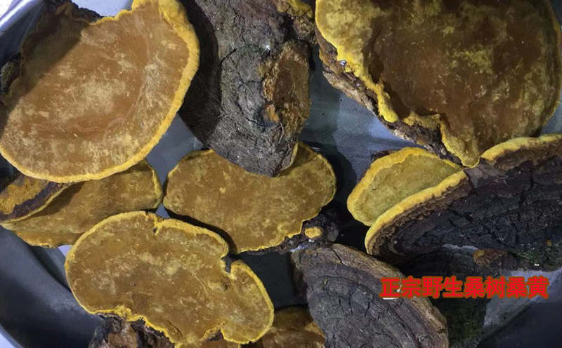 請輸入圖片描述