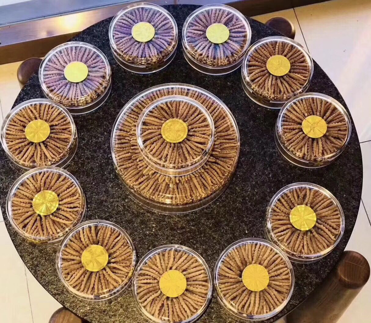 冬蟲夏草圓盒擺放宣傳圖片