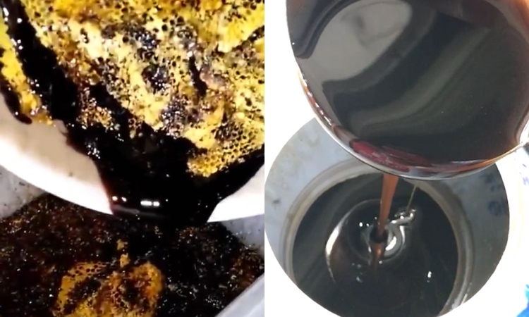 米團(tuán)花黑蜂蜜圖片