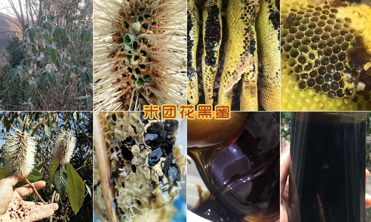 米團(tuán)花黑蜜圖片