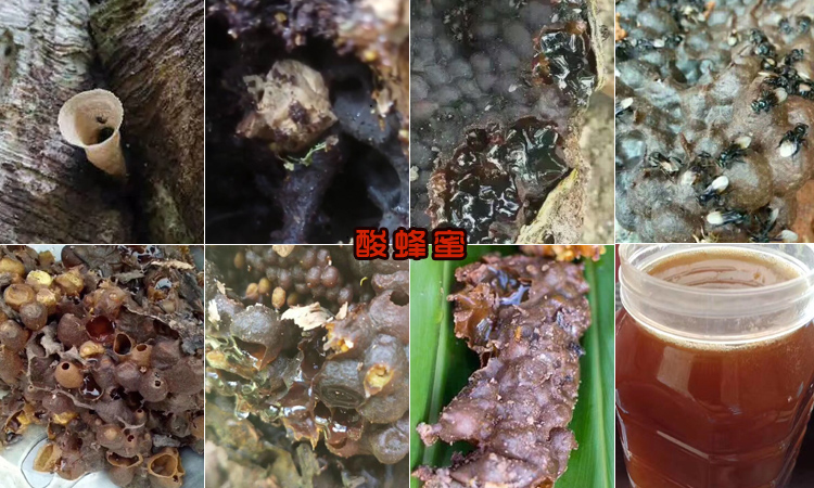 樹酸蜂蜂蜜圖片