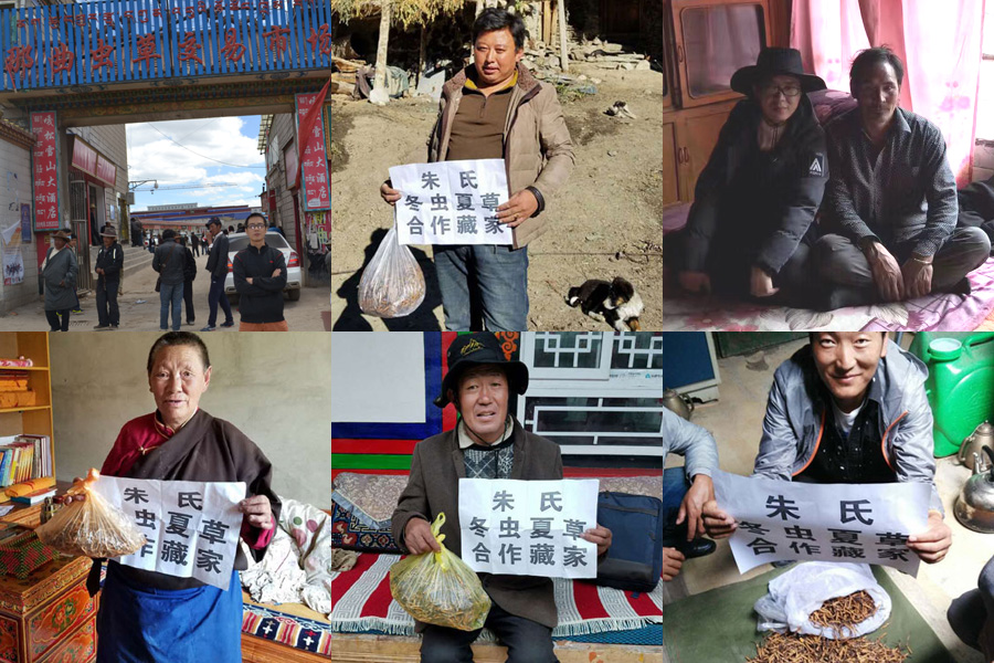 朱氏極藏冬蟲夏草品牌